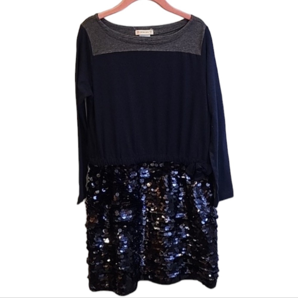 Crewcuts Blue and Gray Long Sleeve Sequins Dress 8